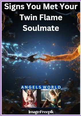 signs of meeting twin flame